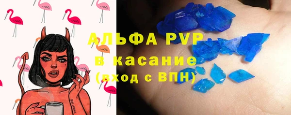 сатива Армянск