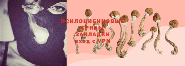 каннабис Аркадак