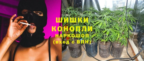 мяу мяу мука Баксан