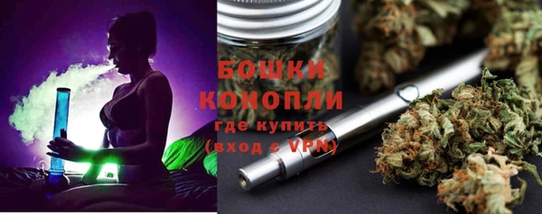 сатива Армянск