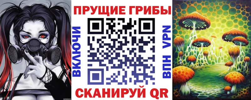 Галлюциногенные грибы мицелий Буйнакск